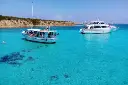 cyprus3.webp