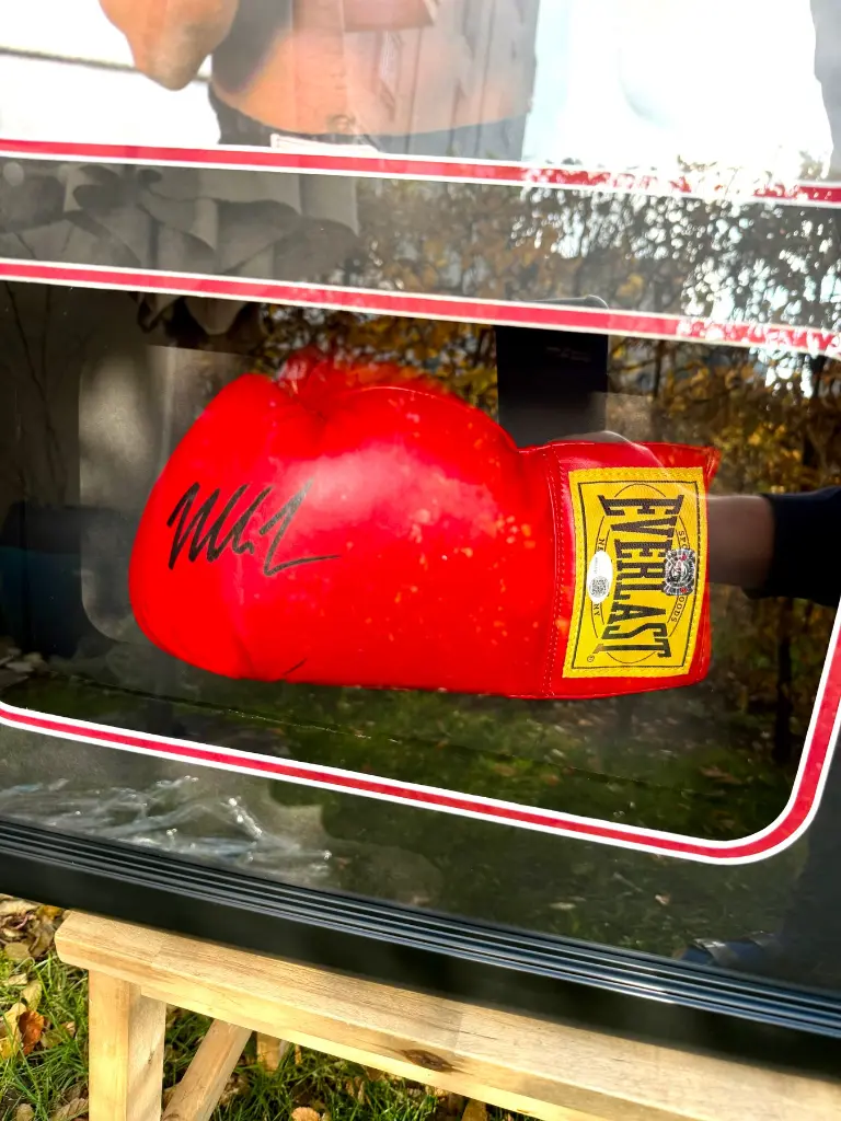 Mike Tyson - Boxing gloves - 3.webp