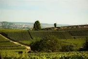 epernay 2.webp