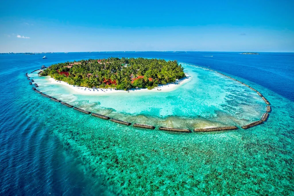 KURUMBA3.webp