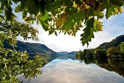 lake.webp