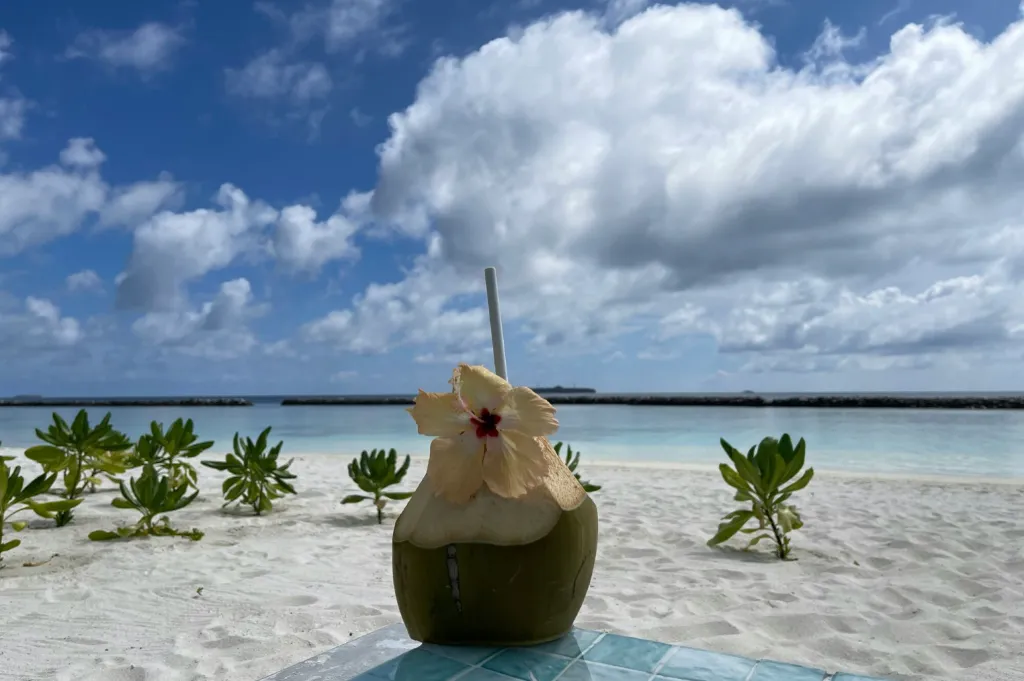 beach2.webp