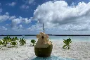 beach2.webp