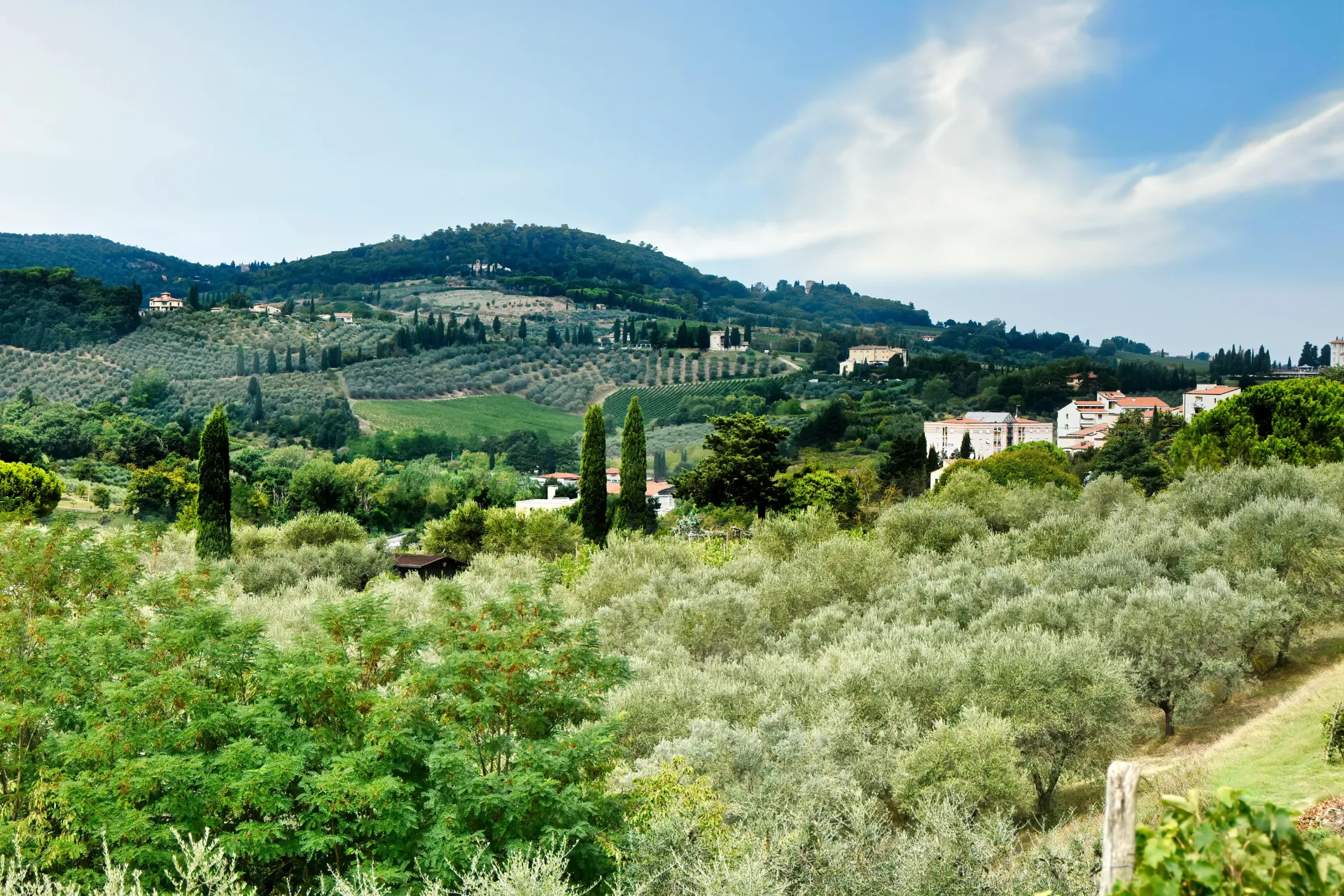 Flavours of Tuscany: Five Nights with Private Olive Mill & Extra Virgin Olive Oil Experience - 5 Nights for 4 People